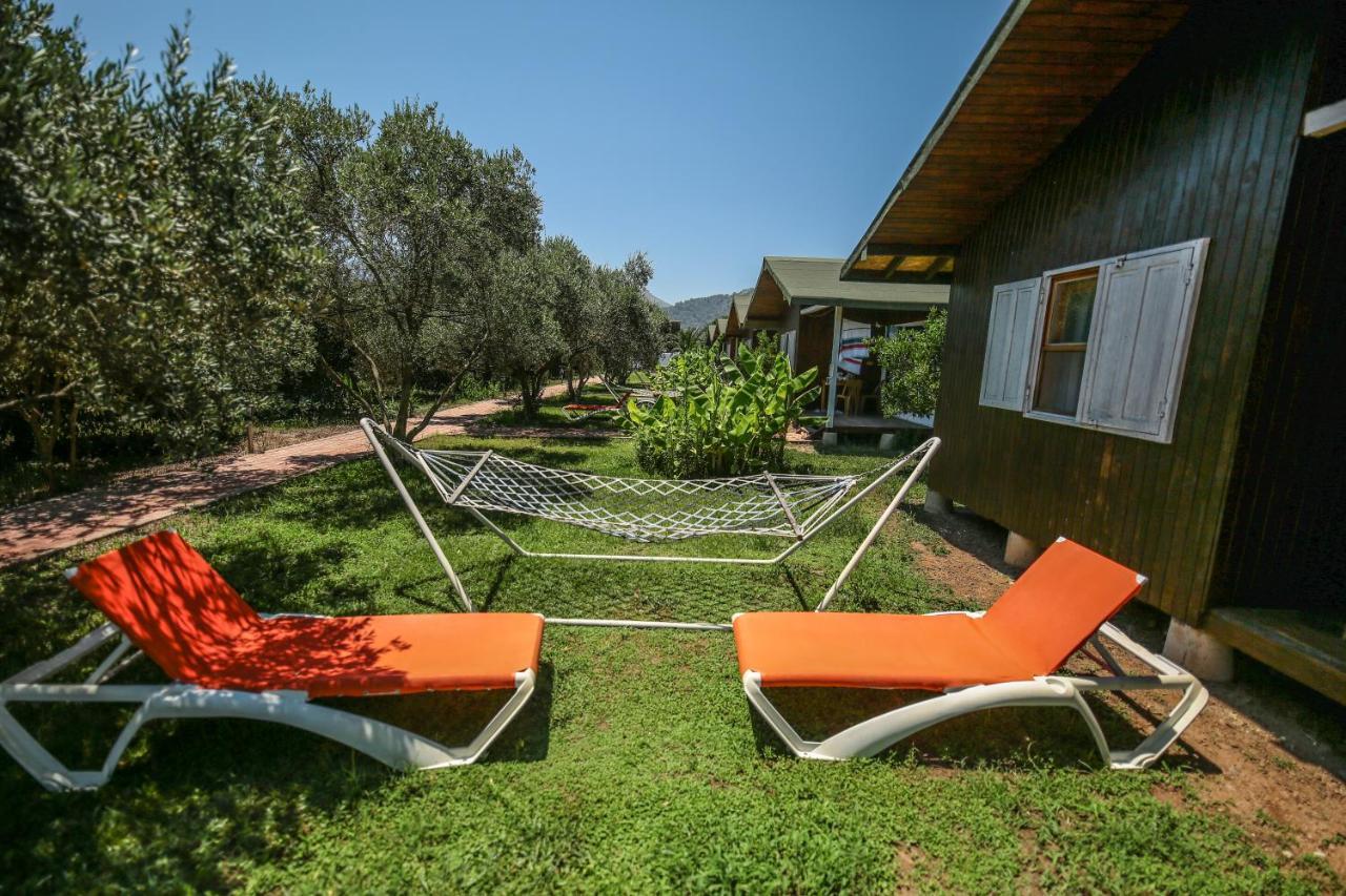 Homestay Zakkum Cirali