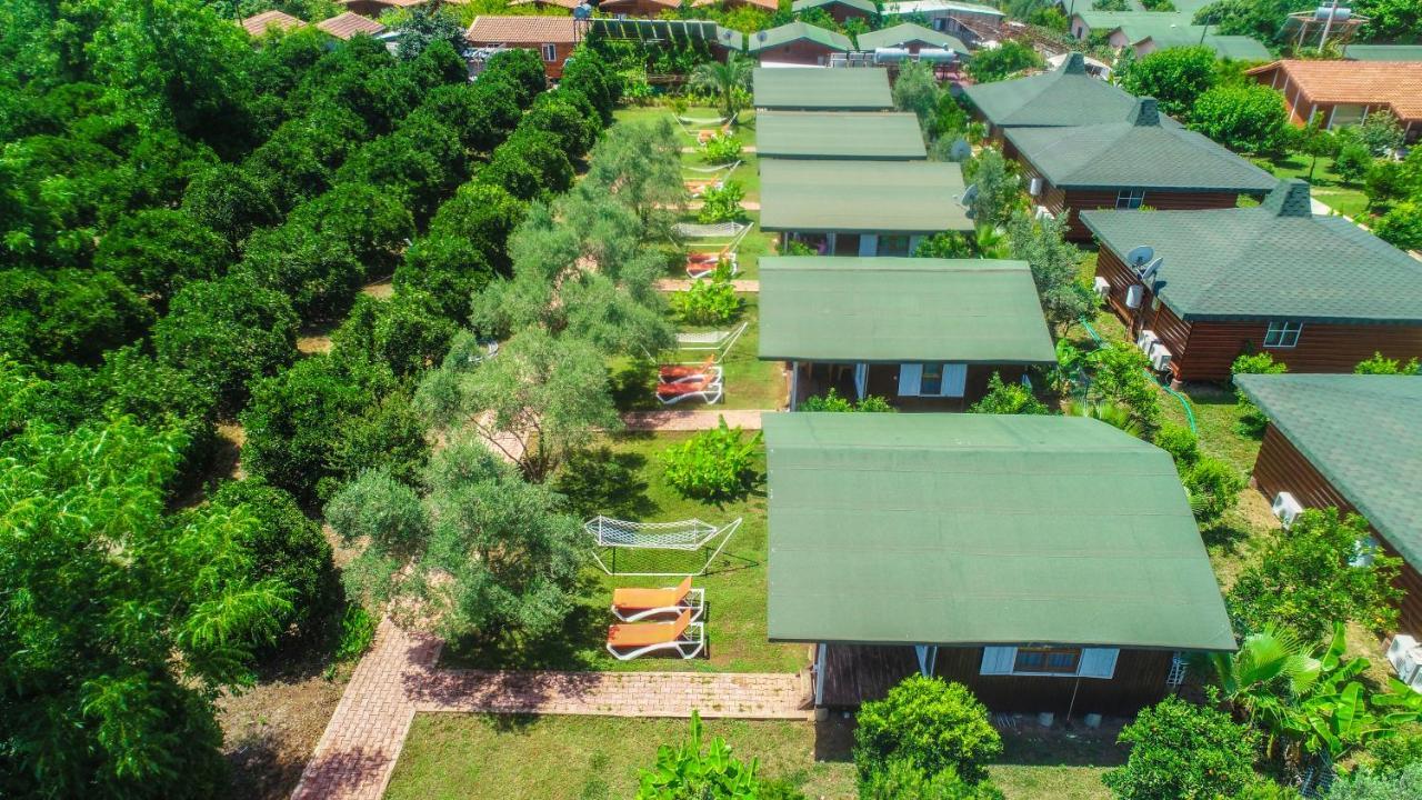 Homestay Zakkum *