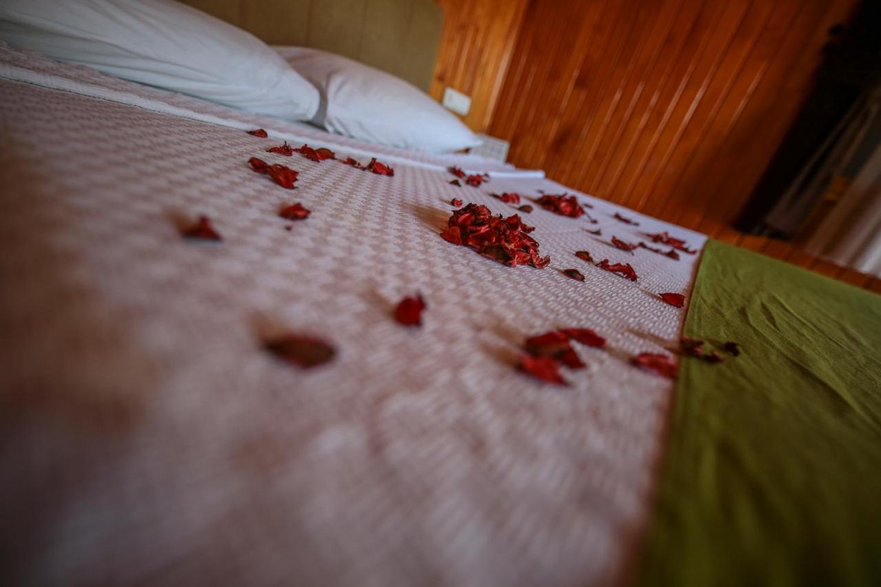 Homestay Zakkum *