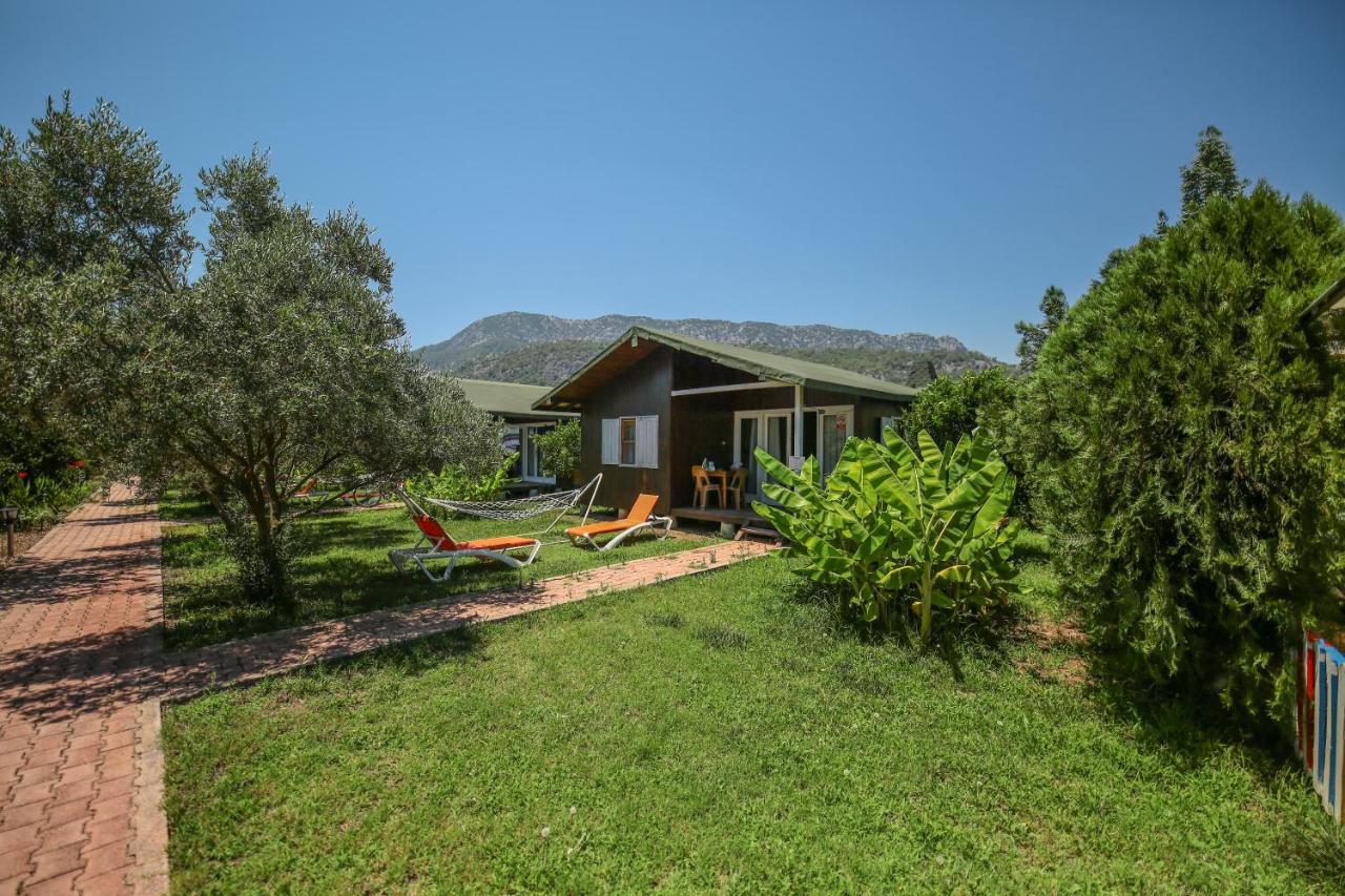 Homestay Zakkum Cirali