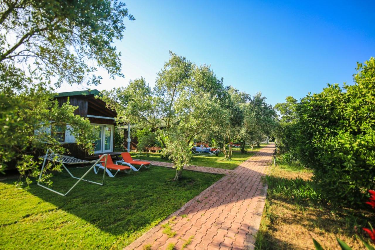 Homestay Zakkum