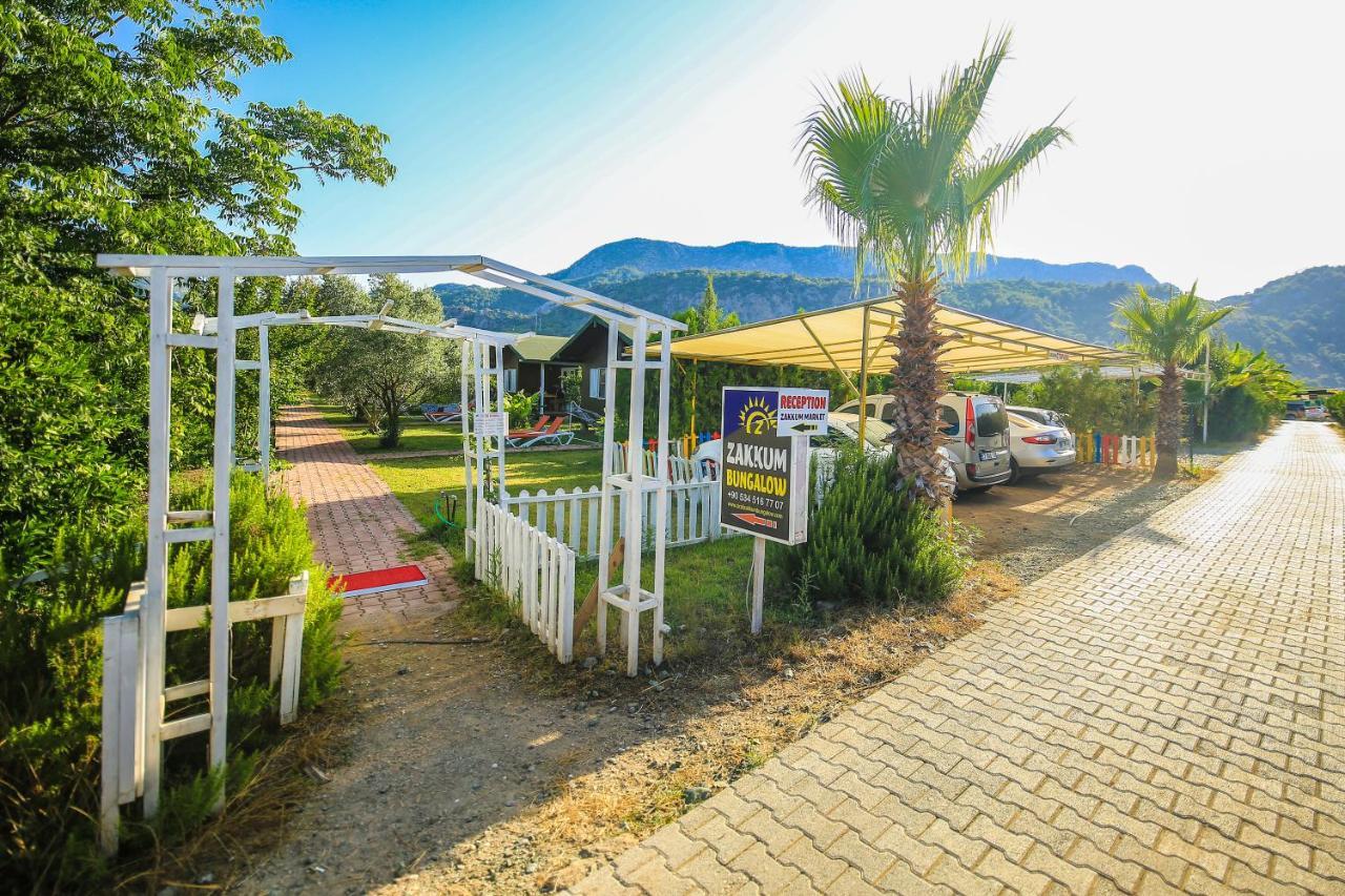 Homestay Zakkum