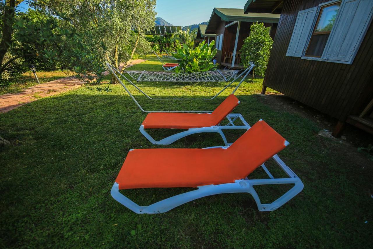 Homestay Zakkum Cirali