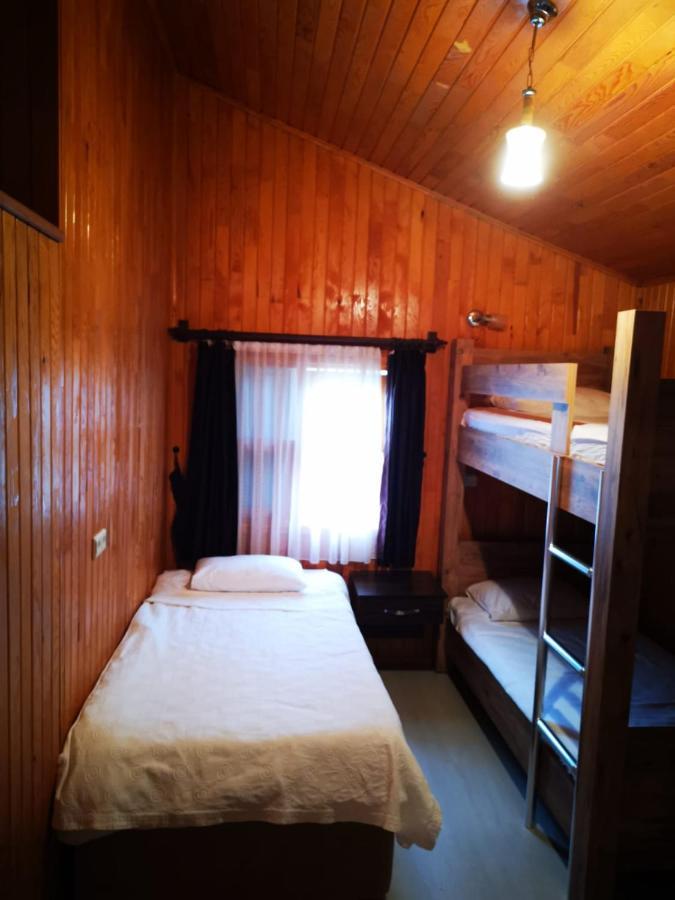 Zakkum Gazde/Camere de închiriat